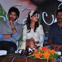 Feel My Love Movie Press Meet - Pictures | Picture 96598